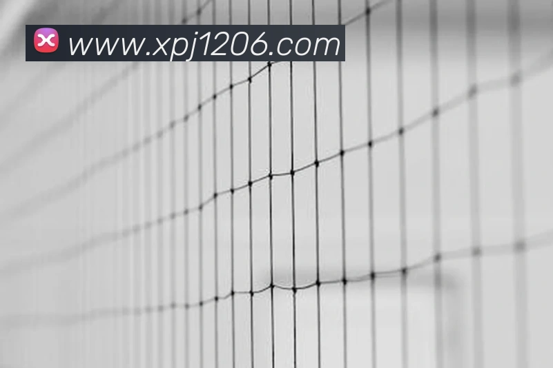 App Interface Preview