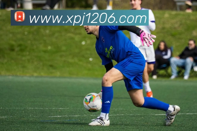 新葡京官网APP 封面图